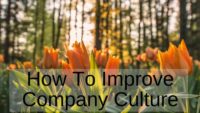 How to Improve Company Culture
